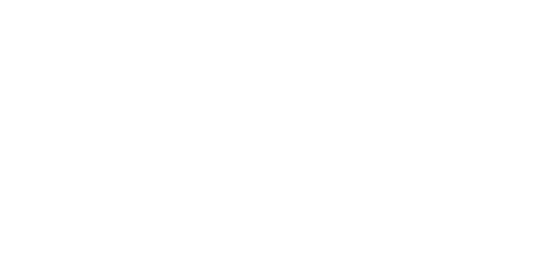 Demo Test partner logo